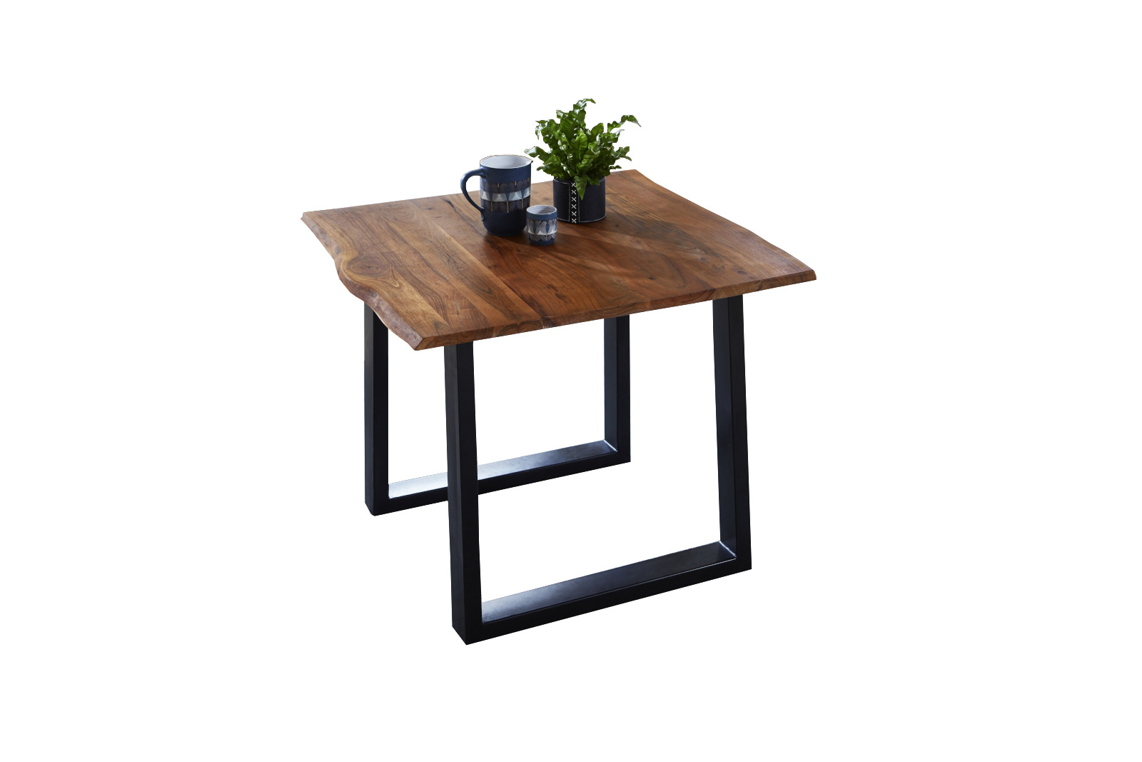 Noah_nussbaum_schwarz_03